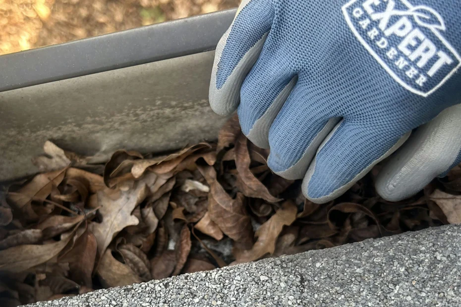 Gutter Cleaning Smithville