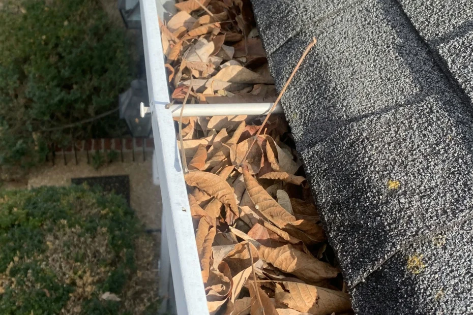 Gutter Cleaning Smithville